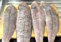 Indian Sole Fish (നങ് മീൻ)