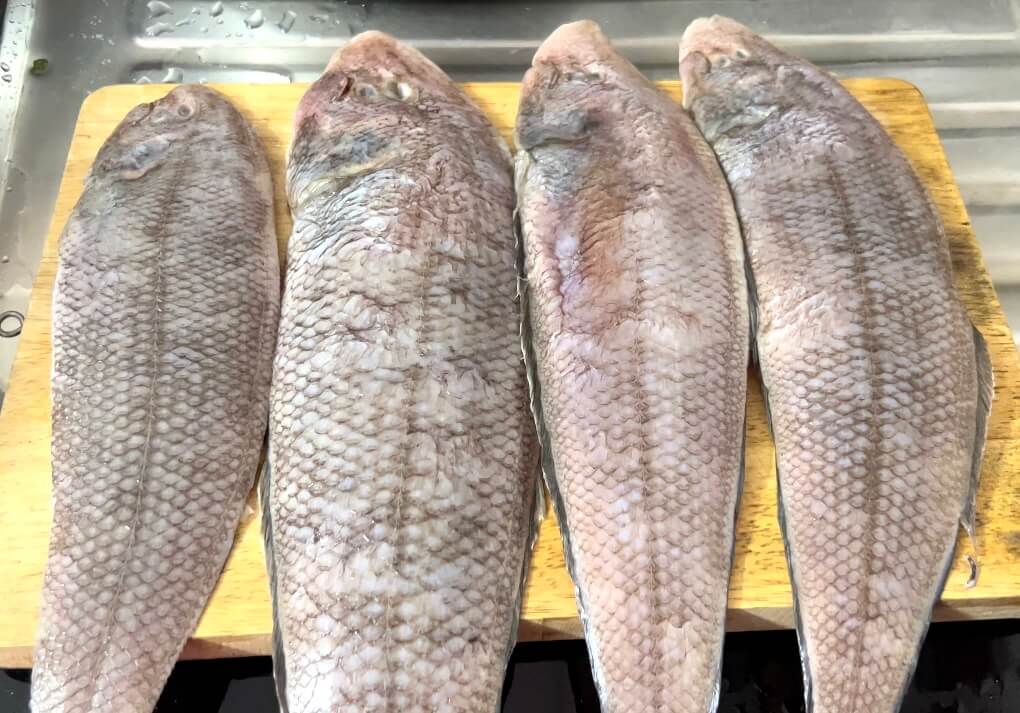 Indian Sole Fish (നങ് മീൻ)