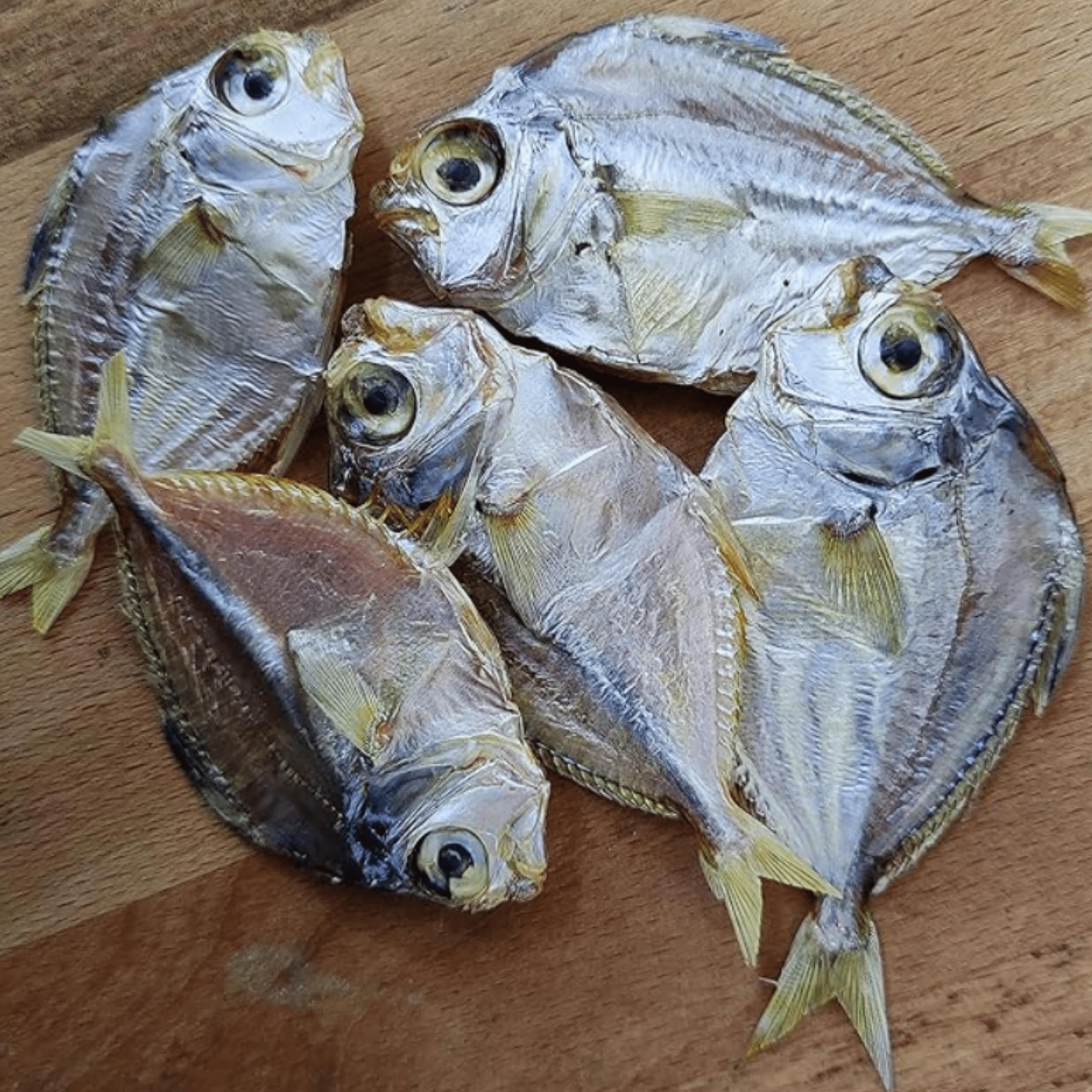 Mullan Fish(മുള്ളൻ മീൻ )